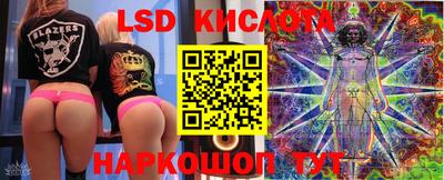 Альфа ПВП Новозыбков