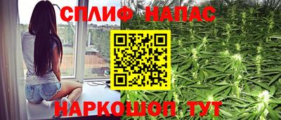 Альфа ПВП Новозыбков
