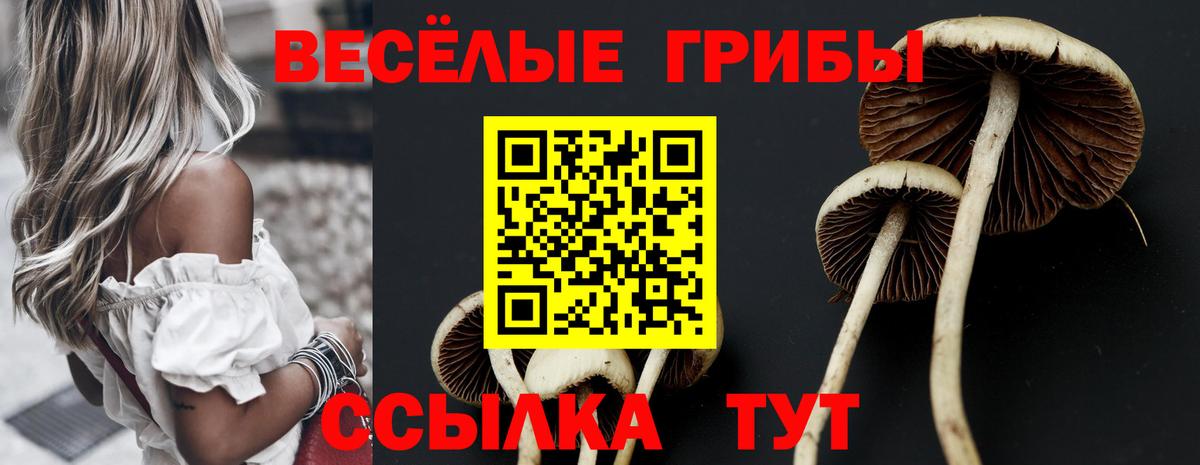 Псилоцибиновые грибы Magic Shrooms  Вход с VPN  Пушкино  Галлюциногенные грибы ЛСД 